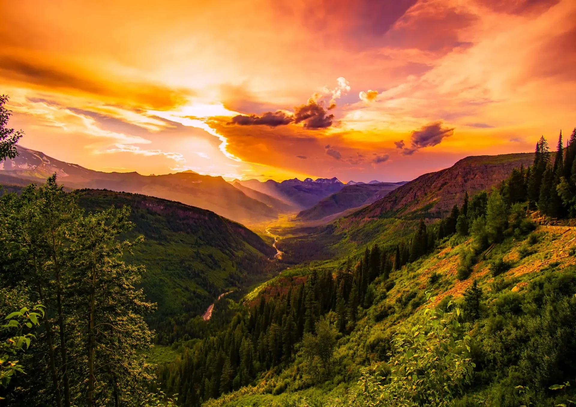 Un paysage de forêts sur des collines vallonnées très contrastée par un ciel orangée, pouvant éveillé à la conscience de soi.